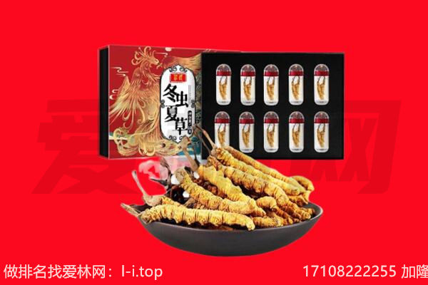 鞍山市回收虫草.jpg